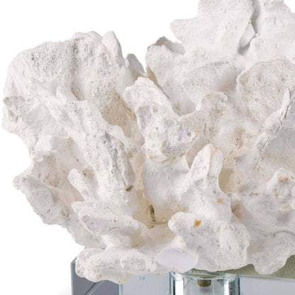 Flower Coral On Crystal Base White