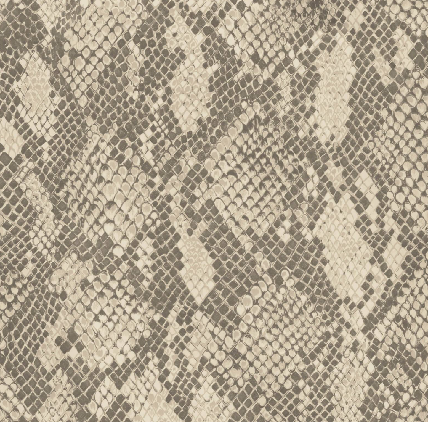 Cobra Wallpaper - Phlox